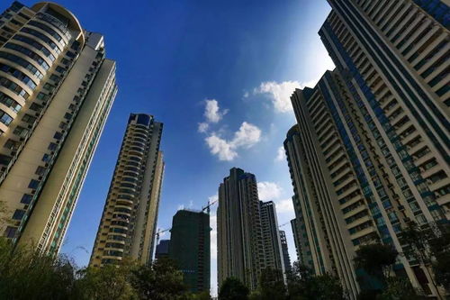 重慶有房一族 安居與增值的平衡，樓市起伏中的真實(shí)心態(tài)